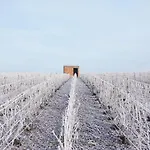 Bed & Breakfast Les Cepages Le Mesnil-sur-Oger