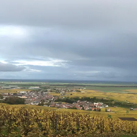 住宿加早餐酒店 Les Cepages