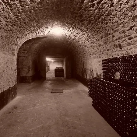 Les Cepages 住宿加早餐酒店 3*