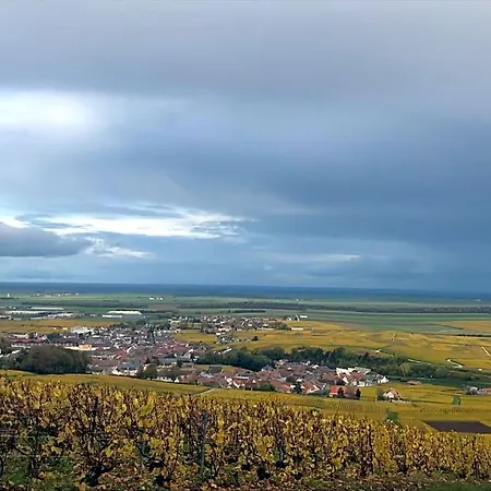 Les Cepages 3* Le Mesnil-sur-Oger