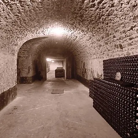 Les Cepages 3* Le Mesnil-sur-Oger