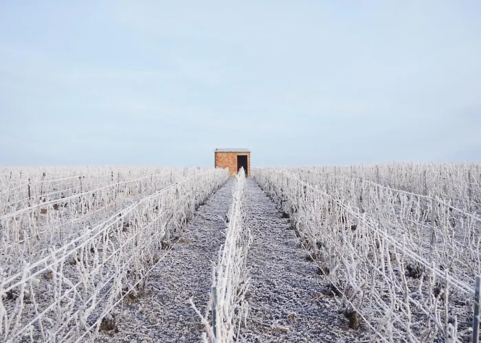 Bed & Breakfast Les Cepages Le Mesnil-sur-Oger